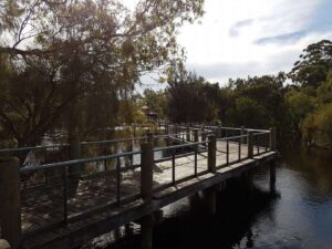 Tomato Lake Reserve Center Board Walk