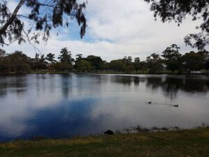 Tomato lake Reserve